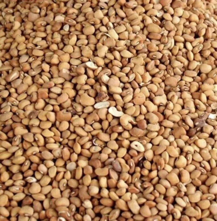Oloyin Beans (Honey Beans or Ewa Oloyin) - enternotastes